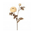 thumbnail image 1 of 24" Ranunculus stem (cream), 1 of 1