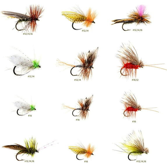 24 Realistic Caddis Dry Fly Fishing Assortment for Trout Fishing | Fly Size: #10, #12, #14, #16