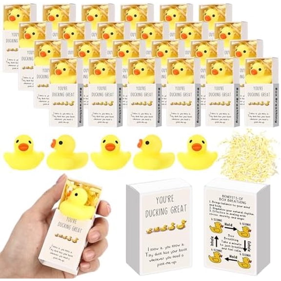 24 Sets Duck Gifts Cute Stress Balls with Support Gift Boxes You're Ducking Great Party Favors for Employee Coworker Friends Office Positive Relief Desk Decor