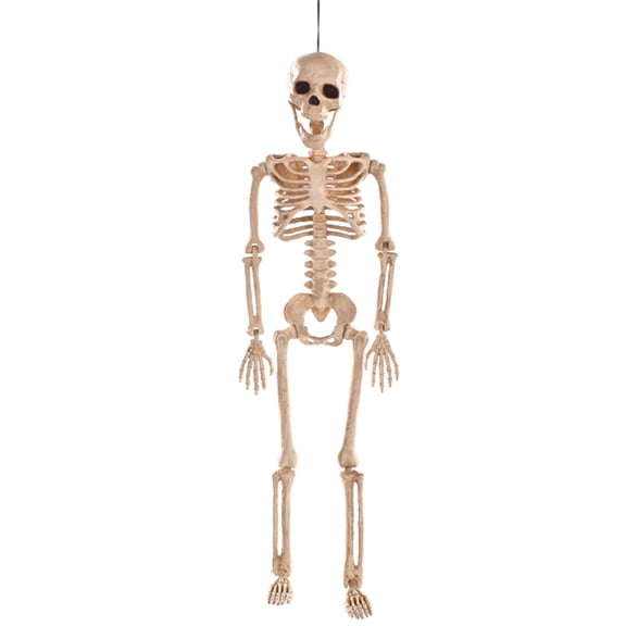 24" Skeleton Halloween Decoration