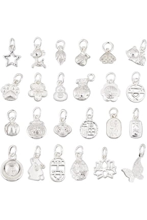 24 Styles Lucky Charms Pendants Brass Silver Charms Animal Butterfly Flower Pendant DIY Jewelry Making Accessories Bulk with Jump Ring for Earrings Necklace Bracelet Craft Making, 24pcs