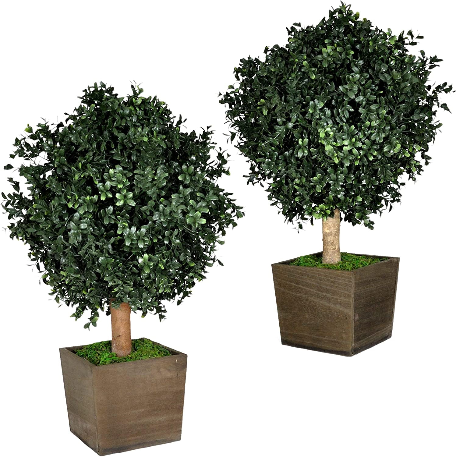 24" Tall Artificial Boxwood Shrubs (2), Includes Decorative Wooden Pot, Outdoor Ready, Natural