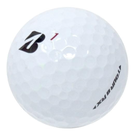 Pre-Owned 24 Titleist Pro V1x Golf Balls in Mint Condition, 2021 Year Model, No Logos, No Player Markings, Refinished Used Golf Balls, Quality Guaranteed, White