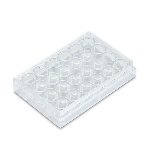 24-Well Cell Culture Plate