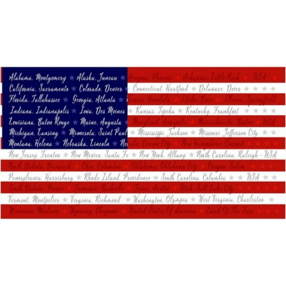 24" X 44" Panel American Flag States Capitals USA United States Patriotic One Nation by Jessica Mundo Cotton Fabric Panel (120P-78)