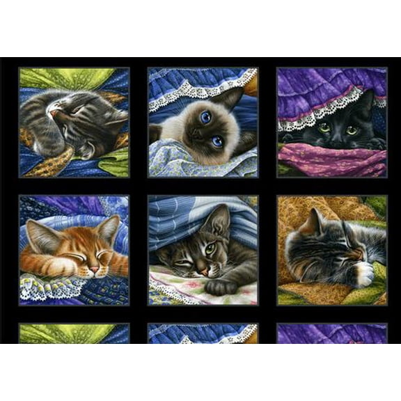 24" X 44" Panel Cat Nap Kitten Feline Sleepy Blankets Cute Cuddles Elizabeth Studios Cotton Fabric Panel (54001BLACK)