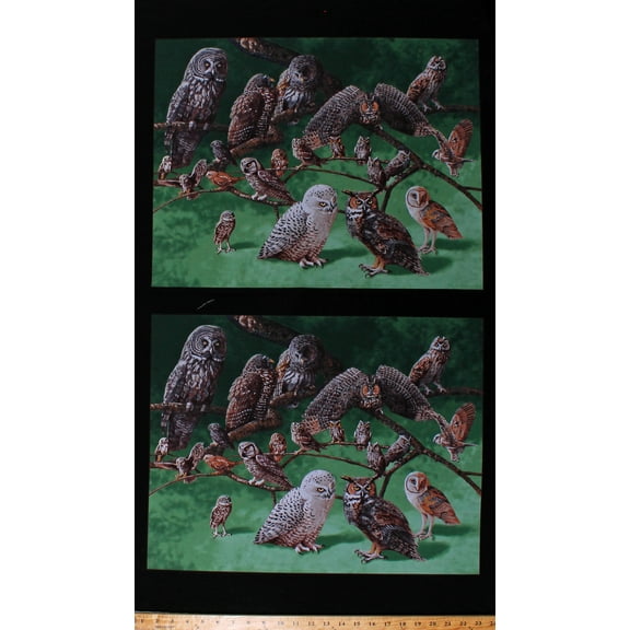 24" X 44" Panel Owls of North America Birds Animals Cotton Fabric Panel (16002BLACK)