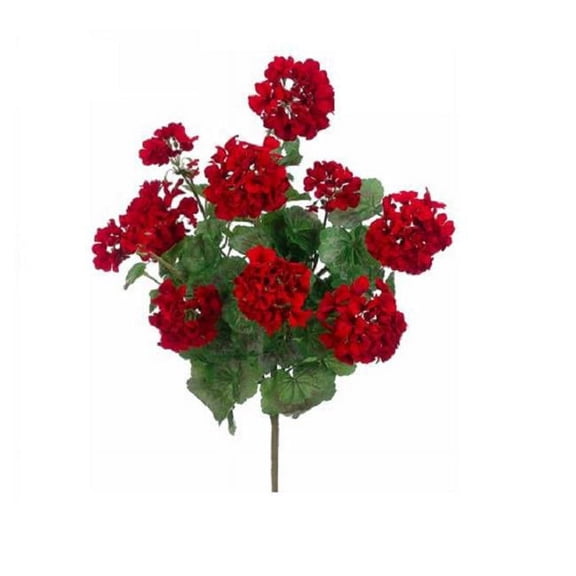 24 in. UV Protected X5 Geranium Bush - Red
