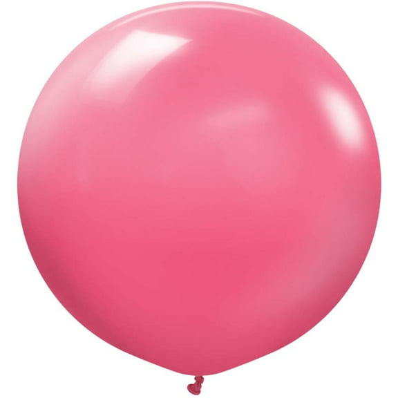 24 inch Kalisan Standard Fuchsia Latex Balloons (2 Pack) - Party Supplies Decorations