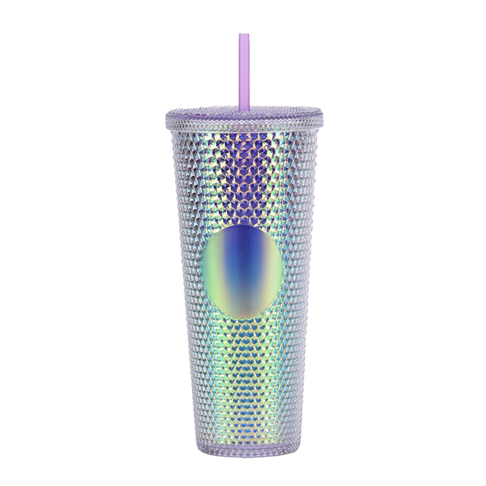 24 oz Double Wall Plastic Matte Studded Tumbler with Lid and Straw