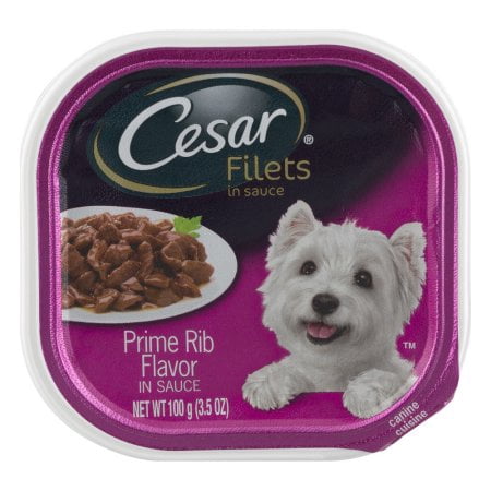 (24 pack) (24 pack) (24 Pack) CESAR GOURMET FILETS Wet Dog Food Prime Rib Flavor, 3.5 oz. Tray