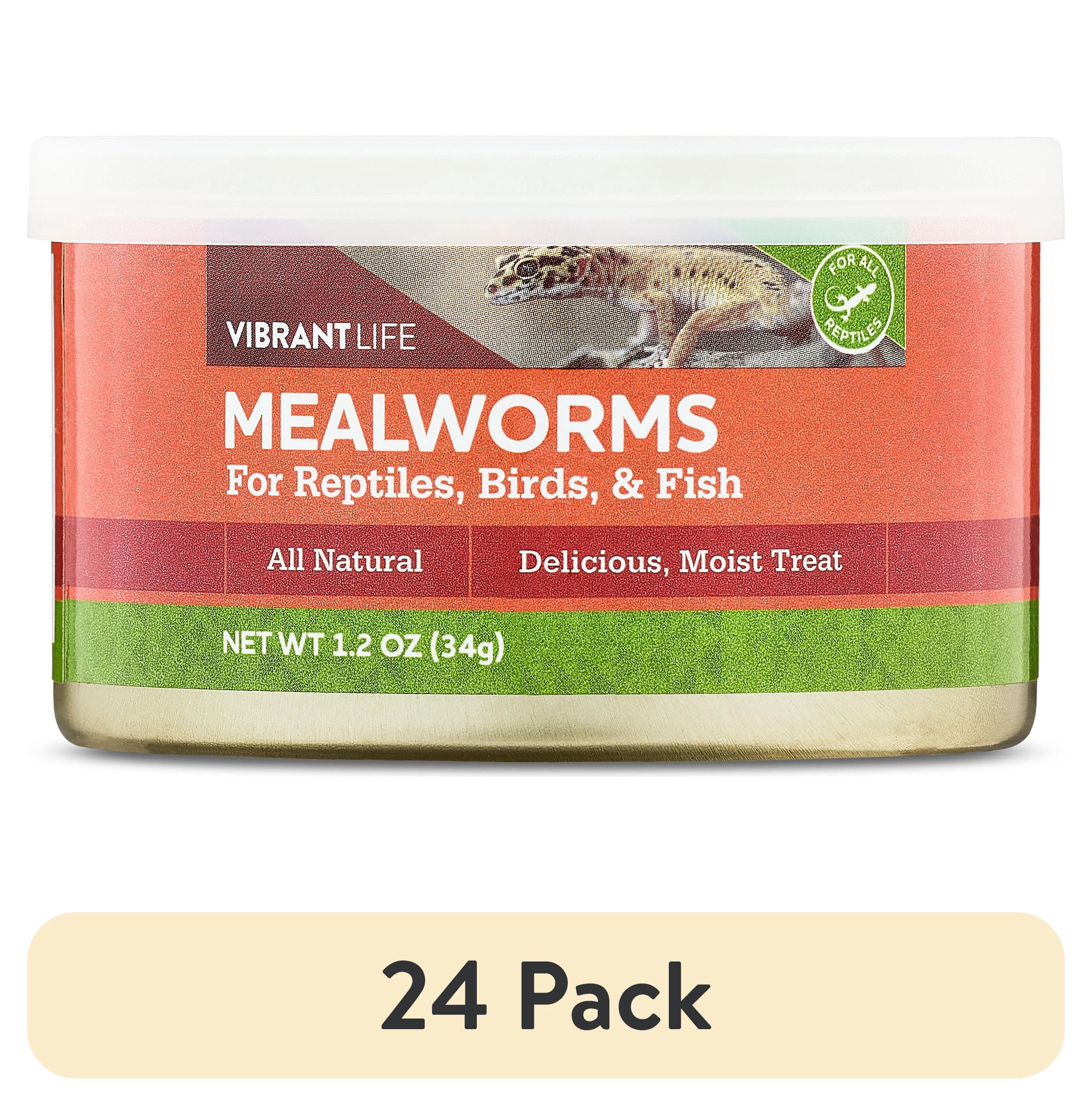 (24 pack) Vibrant Life Canned Mealworms for Reptiles, Birds & Fish, 1.2 oz