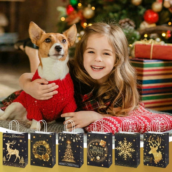 24 pieces of high-grade black Christmas-themed gift bags. These are reusable and foldable tote bags. They combine the functions of Christmas gift bags, party decoration bags and eco-friendly shoppi