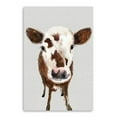 thumbnail image 1 of 24" x 16" Brown and White Baby Cow Face Canvas Wall Art, 1 of 3