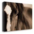 thumbnail image 1 of 24" x 16" Dark Eyes by Lisa Dearing - Print On Canvas Fabric Multi-Color, 1 of 3