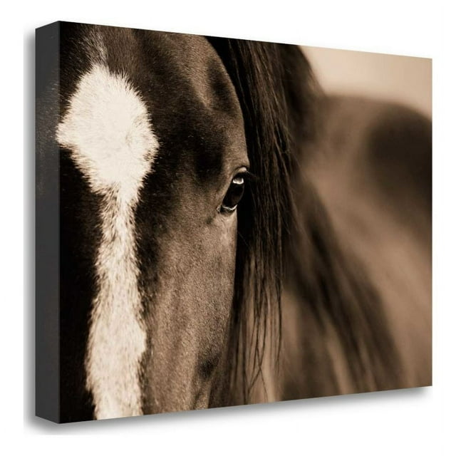 24" x 16" Dark Eyes by Lisa Dearing - Print On Canvas Fabric Multi-Color