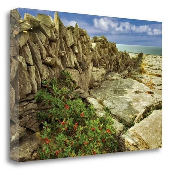 24" x 16" Through The Cracks by Dennis Frates Print on Canvas Fabric Multi-Color