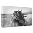 thumbnail image 1 of 24" x 18" Fierce Grace by Tony Stromberg - Wall Art Print on Canvas Fabric White, 1 of 3