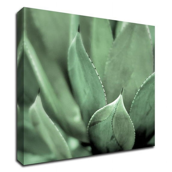 24" x 24" Agave 4 by Alan Blaustein - Wall Art Print on Canvas Fabric Green