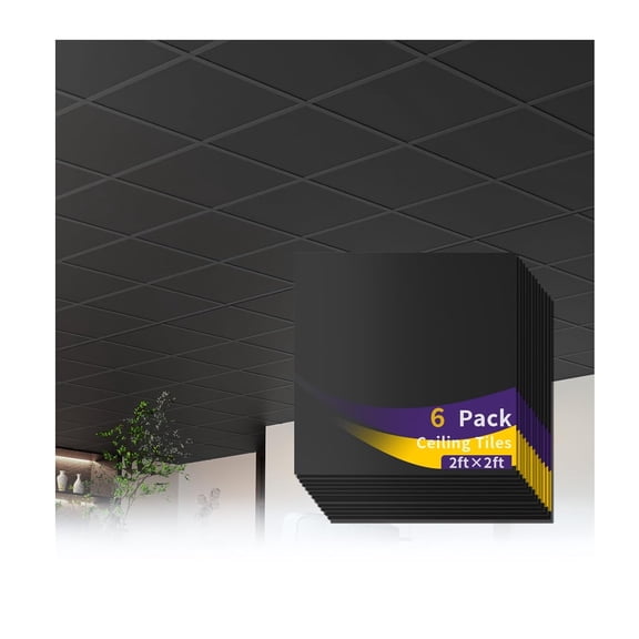 24 x 24 Inch Black Drop Ceiling Tiles, 2 x 2FT 6 PCS PVC Smooth Ceiling Panels - Waterproof Fire-Rated to Prevent Breakage Ideal for Bathroom Living Room Bedroom Office Cover 24 Sq.Ft