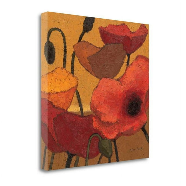 24" x 24" Poppy Curry II By Shirley Novak - Print on Canvas Fabric Multi-Color