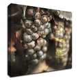 thumbnail image 1 of 24 x 24 Tuscan Caffe 3 by Alan Blaustein - Wall Art Print on Canvas Fabric Black, 1 of 3