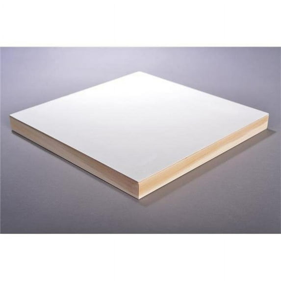 24 x 24 in. Flat Gesso Painting Panel - White