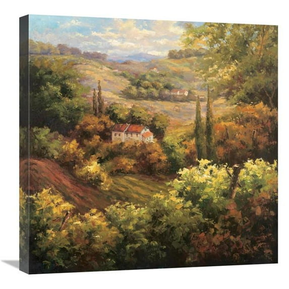 24 x 24 in. Mediterranean Valley Farm Art Print - Hulsey