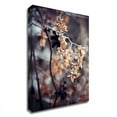 thumbnail image 1 of 24" x 32" Autumn II by Incado - Wall Art Print on Canvas Fabric White, 1 of 3