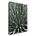 thumbnail image 1 of 24" x 32" Leaf V by Incado - Wall Art Print on Canvas Fabric White, 1 of 3