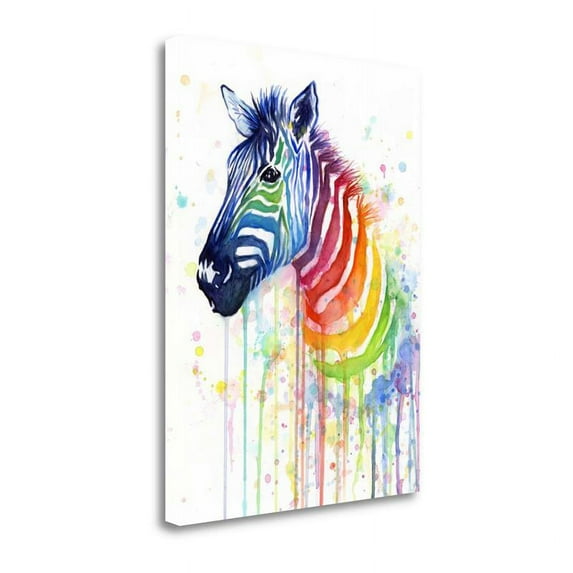 24" x 32" Rainbow Zebra By Olga Shvartsur - Print on Canvas Fabric Multi-Color