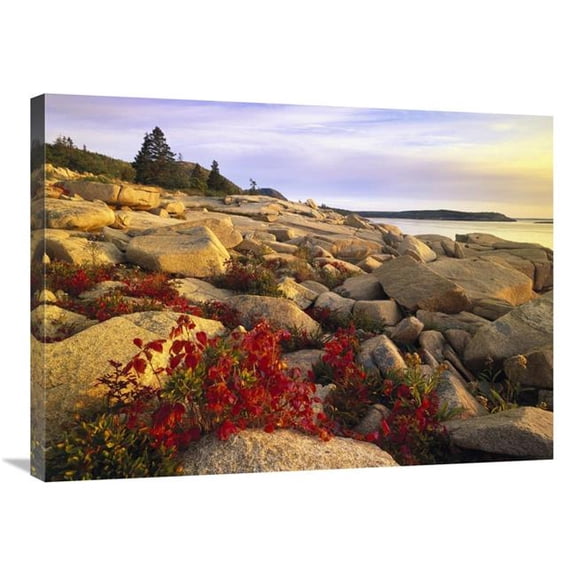 24 x 32 in. Atlantic Coast Near Thunder Hole, Acadia National Park, Maine Art Print - Tim Fitzharris