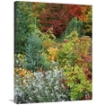 thumbnail image 1 of 24 x 32 in. Autumn Colors, Killarney Provincial Park, Ontario, Canada Art Print - Tim Fitzharris, 1 of 1
