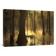 thumbnail image 1 of 24 x 32 in. Bald Cypress Grove in Freshwater Swamp at Dawn, Lake Fausse Pointe, Louisiana Art Print - Tim Fitzharris, 1 of 1