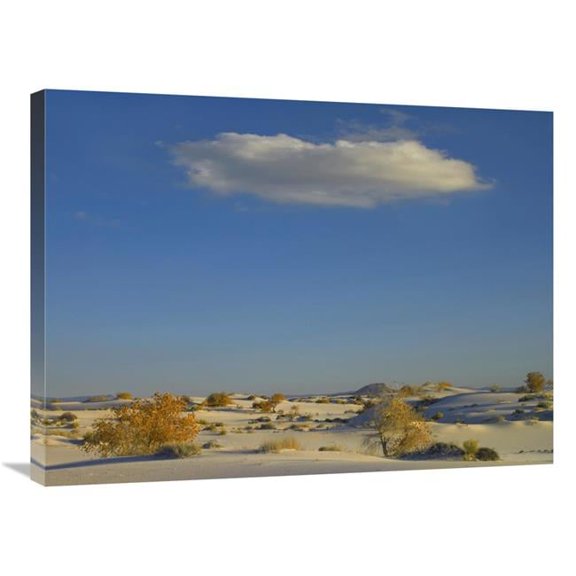 24 x 32 in. Cloud Over White Sands National Monument, Chihuahuan Desert, New Mexico Art Print - Tim Fitzharris