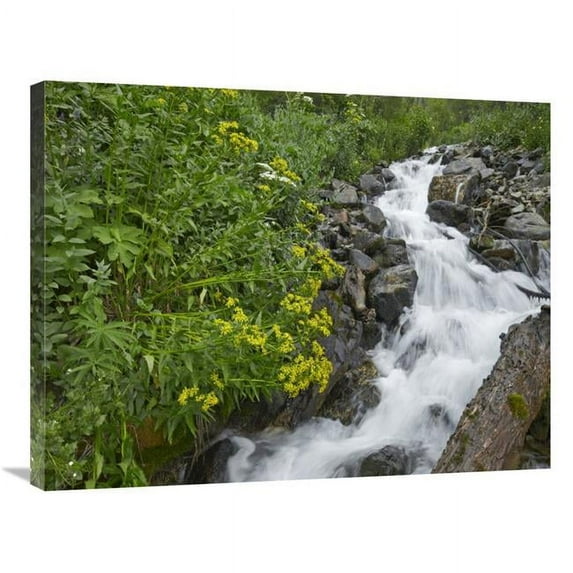 24 x 32 in. Creek Near Silverton, Colorado Art Print - Tim Fitzharris