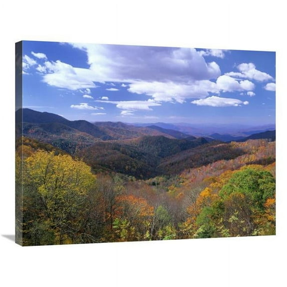 24 x 32 in. Deciduous Forest in the Autumn From Thunderstruck Ridge Overlook, Blue Ridge Parkway, North Carolina Art Print - Tim Fitzharris