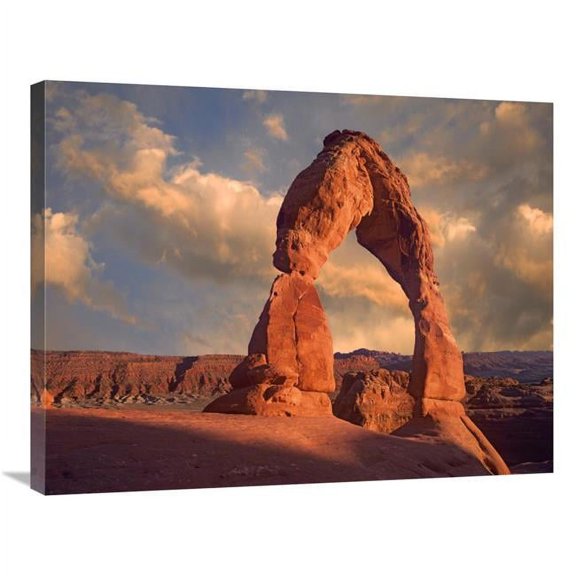 24 x 32 in. Delicate Arch in Arches National Park, Utah Art Print - Tim Fitzharris