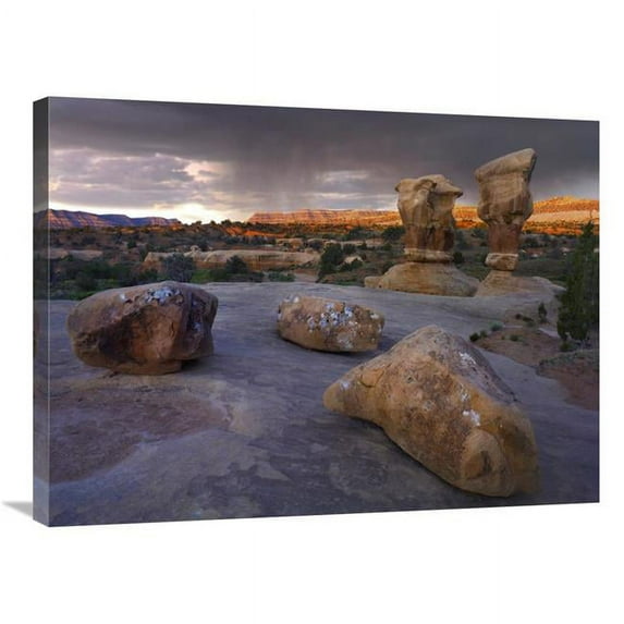 24 x 32 in. Devils Garden Sandstone Formations, Escalante National Monument, Utah Art Print - Tim Fitzharris