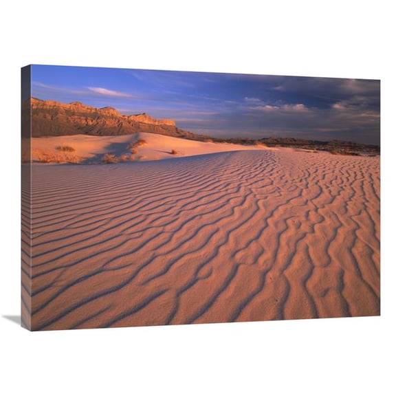 24 x 32 in. Gypsum Dunes, Guadalupe Mountains National Park, Texas Art Print - Tim Fitzharris