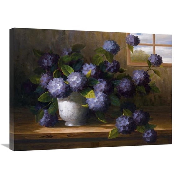 24 x 32 in. Hydrangea Blossoms II Art Print - Welby