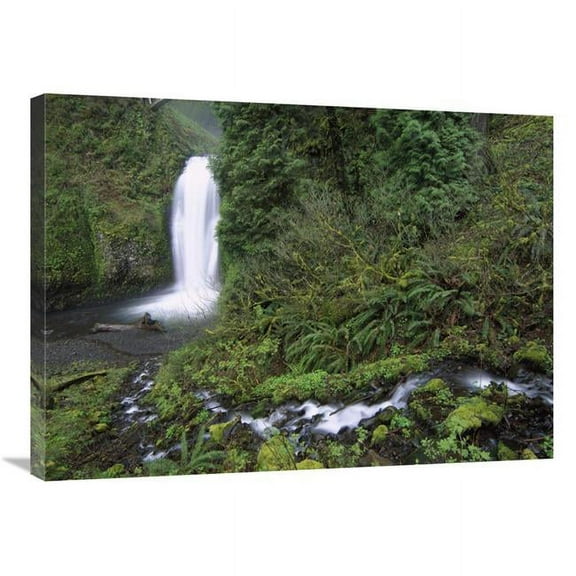 24 x 32 in. Multnomah Falls Cascading Through Temperate Rainforest, Columbia River Gorge Near Portland, Oregon Art Print - Tim Fitzharris