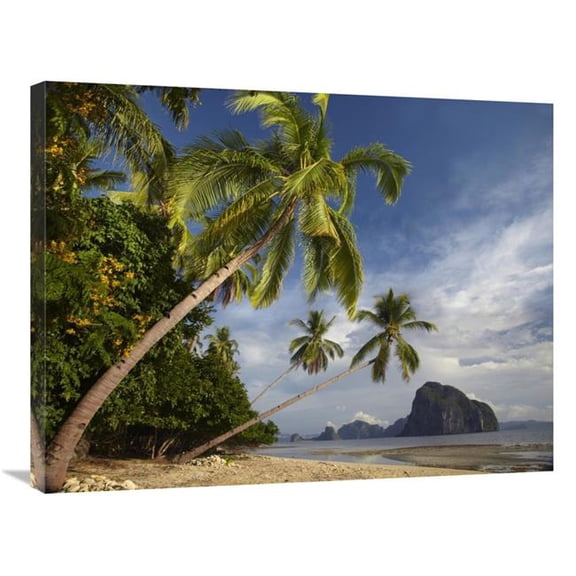 24 x 32 in. Palm Trees, Pinagbuyutan Island, Palawan, Philippines Art Print - Tim Fitzharris