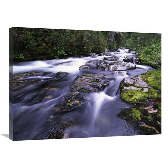 24 x 32 in. Paradise River, Mt Rainier National Park, Washington Art Print - Tim Fitzharris