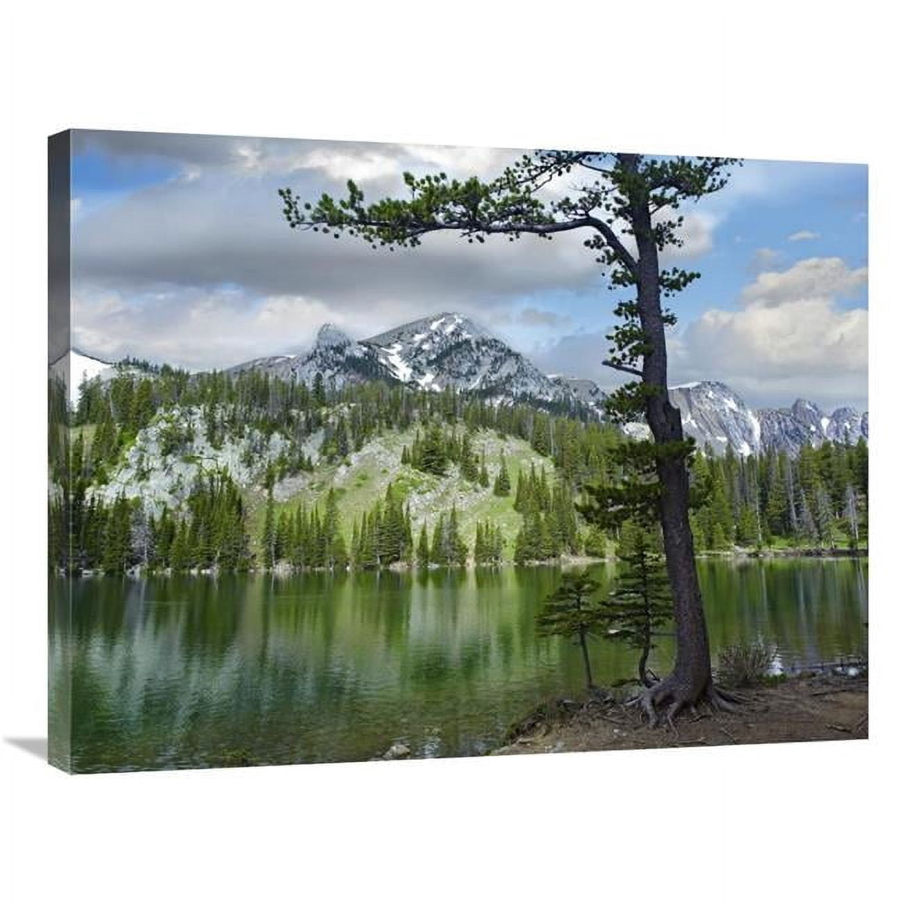 24 x 32 in. Pine Trees Reflected in Fairy Lake, Montana Art Print - Tim