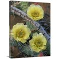 thumbnail image 1 of 24 x 32 in. Plains Pricklypear Arches National Park, Utah Art Print - Tim Fitzharris, 1 of 1