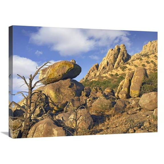 24 x 32 in. Rockpile, Davis Mountains, Chihuahuan Desert, Texas Art Print - Tim Fitzharris