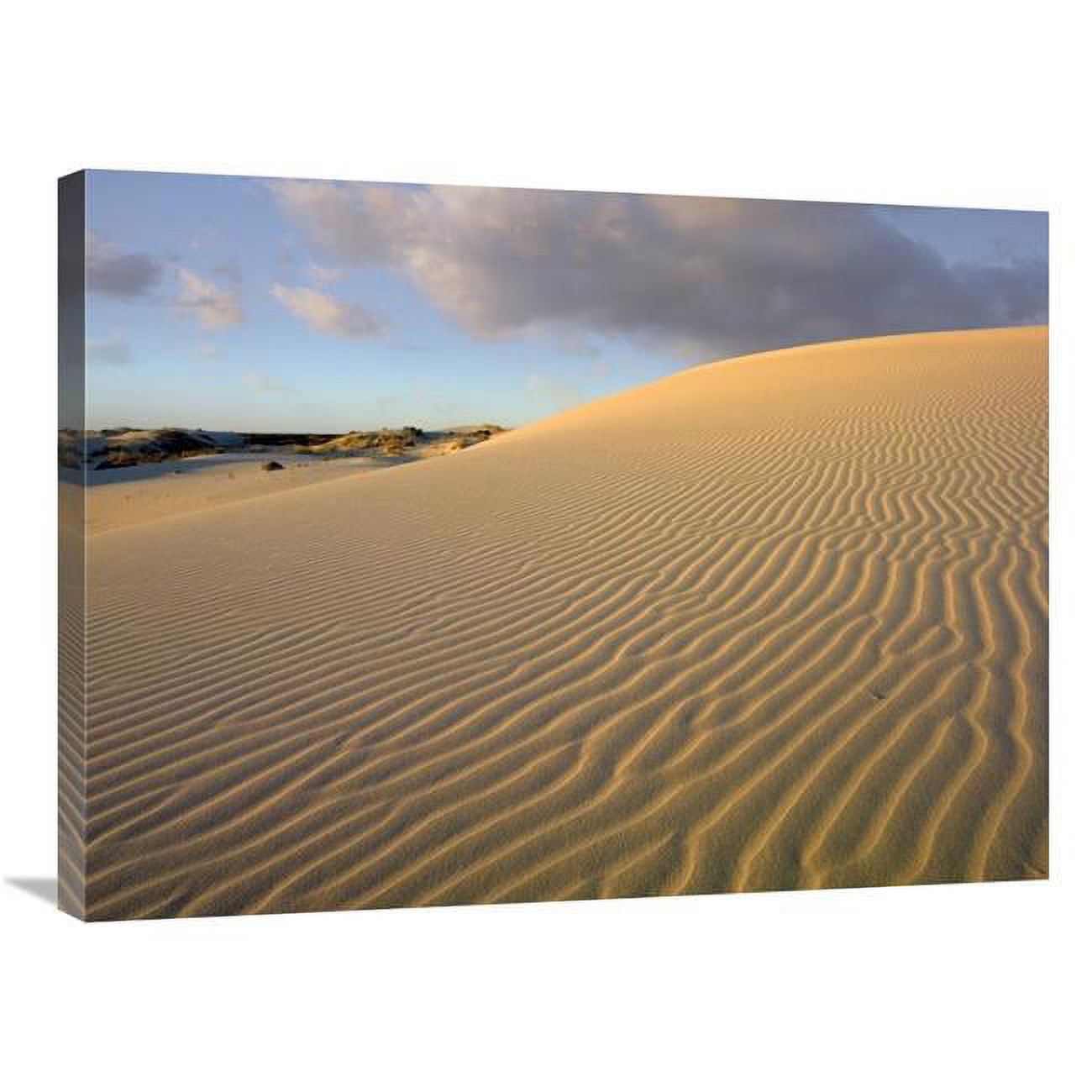 24 x 32 in. Sand Dune, Monahans Sandhills State Park, Texas Art Print
