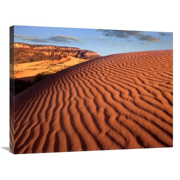 24 x 32 in. Sand Dunes, Coral Pink Sand Dunes State Park, Utah Art Print - Tim Fitzharris