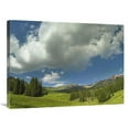 thumbnail image 1 of 24 x 32 in. Stand of Conifers in the Elk Mountains Near Crested Butte, Colorado Art Print - Tim Fitzharris, 1 of 1